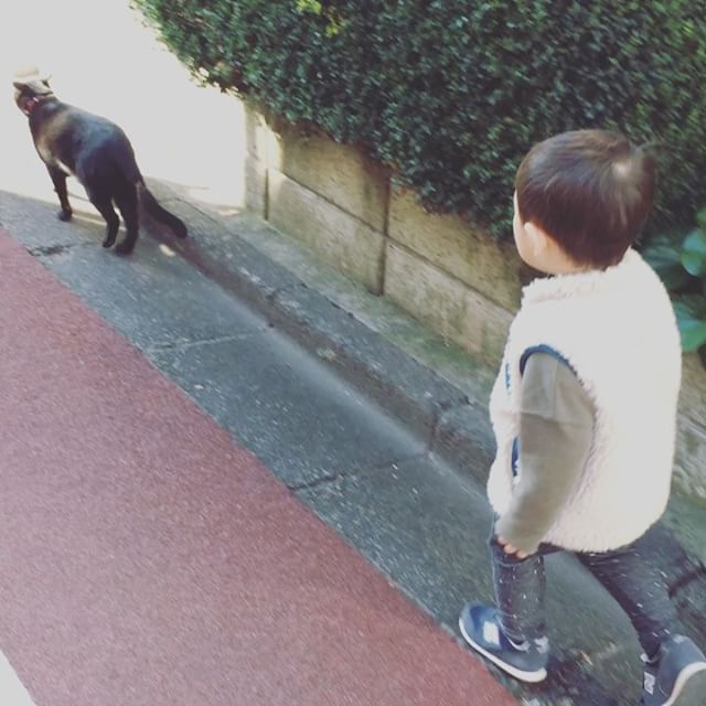 おしゃんぽ Leeスターズ モデルズ Lee