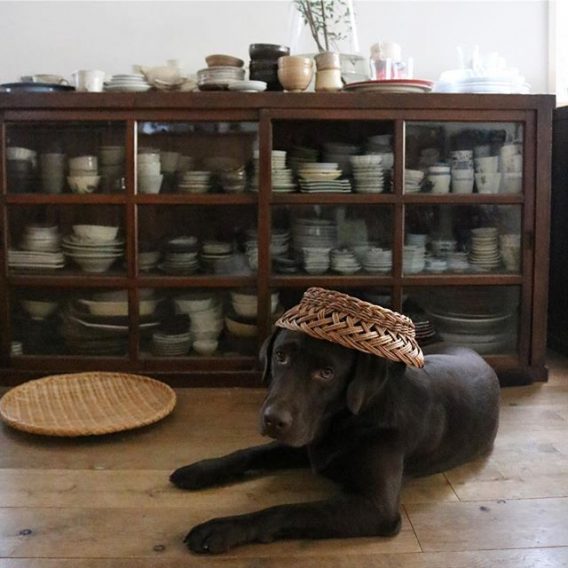 Fri.13 Jan.2016 はれ お知らせです☆ キッチン周りの調理器具や食器などを中心としたキッチンフリマが