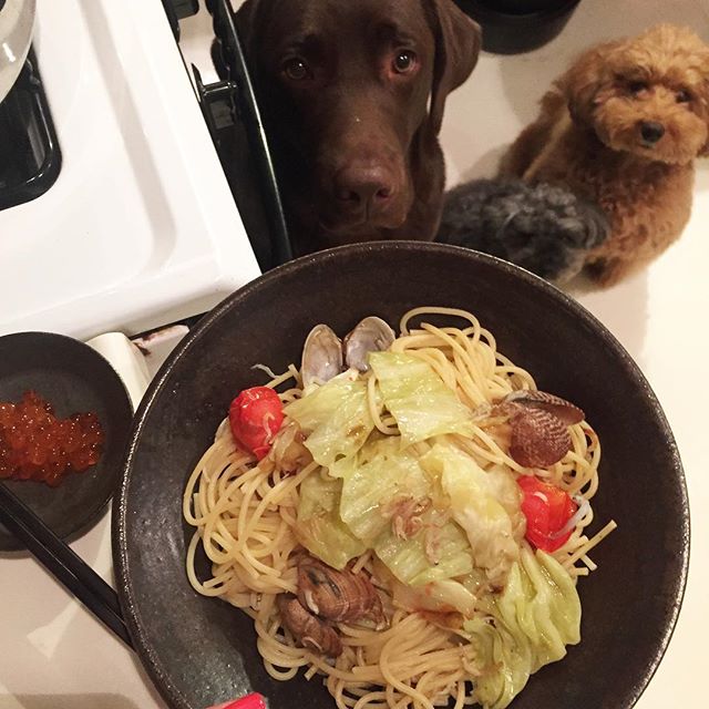 ひとりパスタ じじばばも帰っちゃったし みんなまだ働いてるし 朝の蒸しキャベツに トマトとしらす入れて ついでに昼のお吸い物のアサリも追加 イクラものせちゃおー 好きなものだらけのペペロンチーノどす 晩ごはん ひとりパスタ キャベツの蒸し煮 もぐ