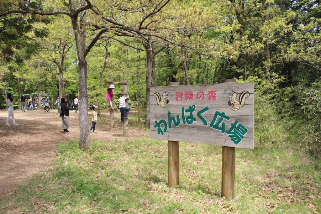 芝桜だけじゃない 秩父 羊山公園のアスレチックで遊んできた Lee