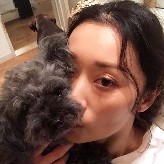 なんだろなー 今日はずいぶん甘えん坊の ピーちゃんでした おやすみなさい 疲れたときは 楳図かずおのスリラー見るといいよ と 犬係が教えてくれました はい たしかにw シワがふえた Picasso ピカソ トイプードルブルー Leeスターズ モデルズ Lee