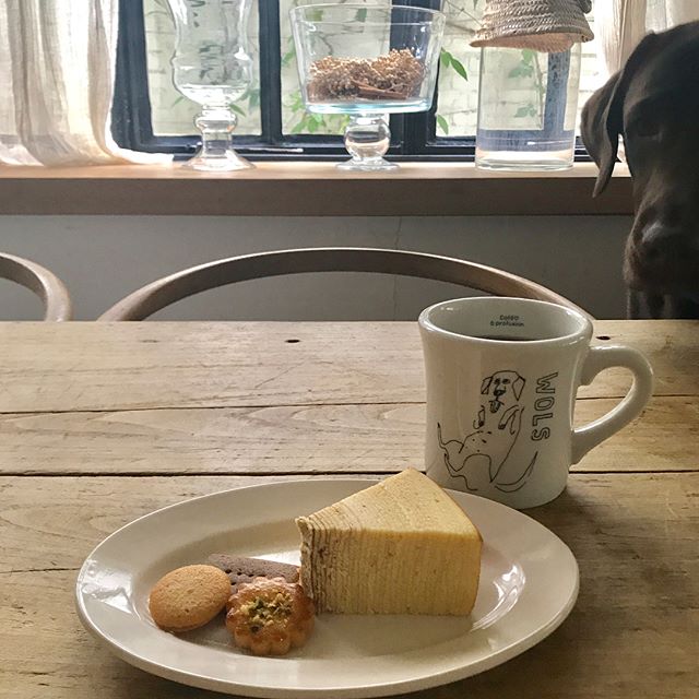 Sat 16 Sep 17 今日のおめざ シーコーに マッターホーンのバームクーヘンと ルスルスのクッキー 犬も必死 自作発明のoチェアも 胴囲立派すぎて ひっかかるw 森ヴォルス おいしかった いつもありがとう Leeスターズ モデルズ Lee