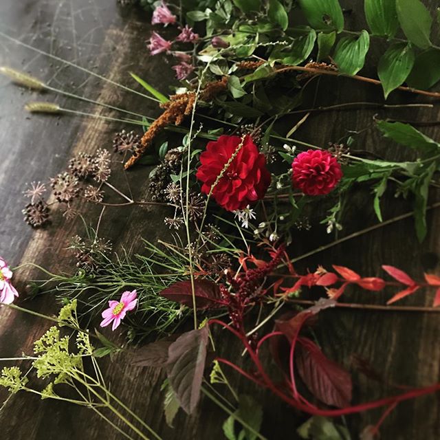 秋の花 オミナエシ ホトトギス エノコログサ ダリア アカバナ キンミズヒキ ウドの実 イヌザンショウ アマランサス コスモス Ikanika 花の会 Leeスターズ モデルズ Lee