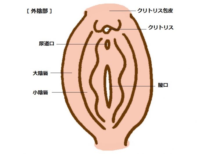 「膣トレ」＆「膣ケア」やり方は？ どうすればいいの？