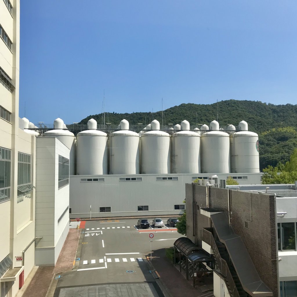 ワンピース 夢 小説 ゾロ Vision 総合ﾗﾝｷﾝｸﾞ1位 10位 Amp Petmd Com