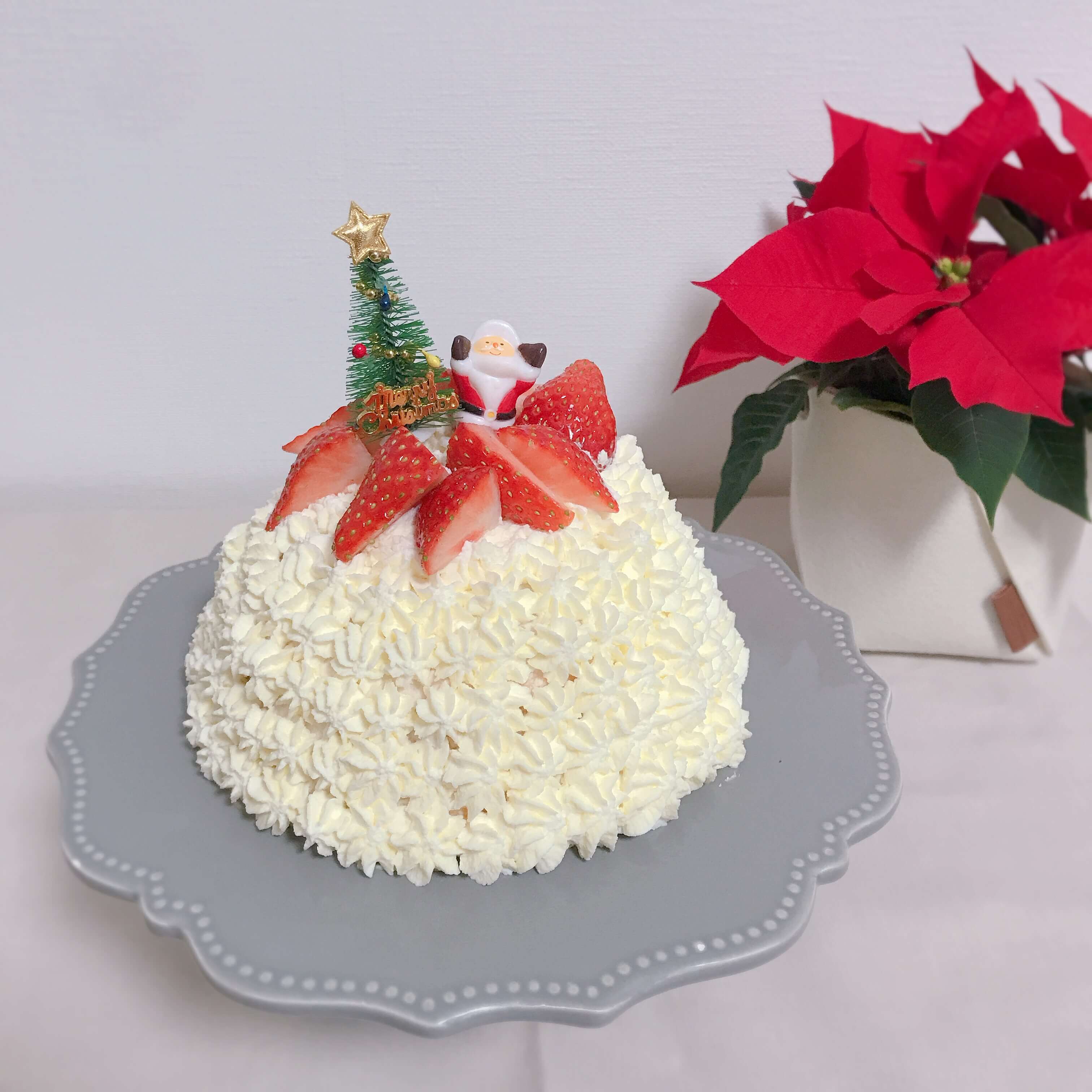 クリスマスドームケーキ デコレーション Lee