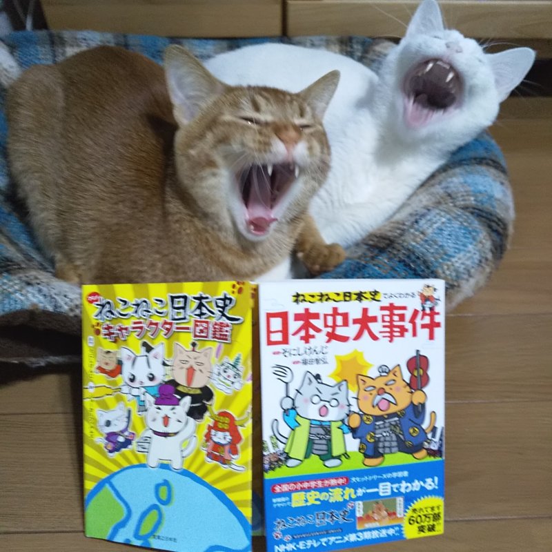 ねこねこな日々 ねこねこ日本史知ってる Lee