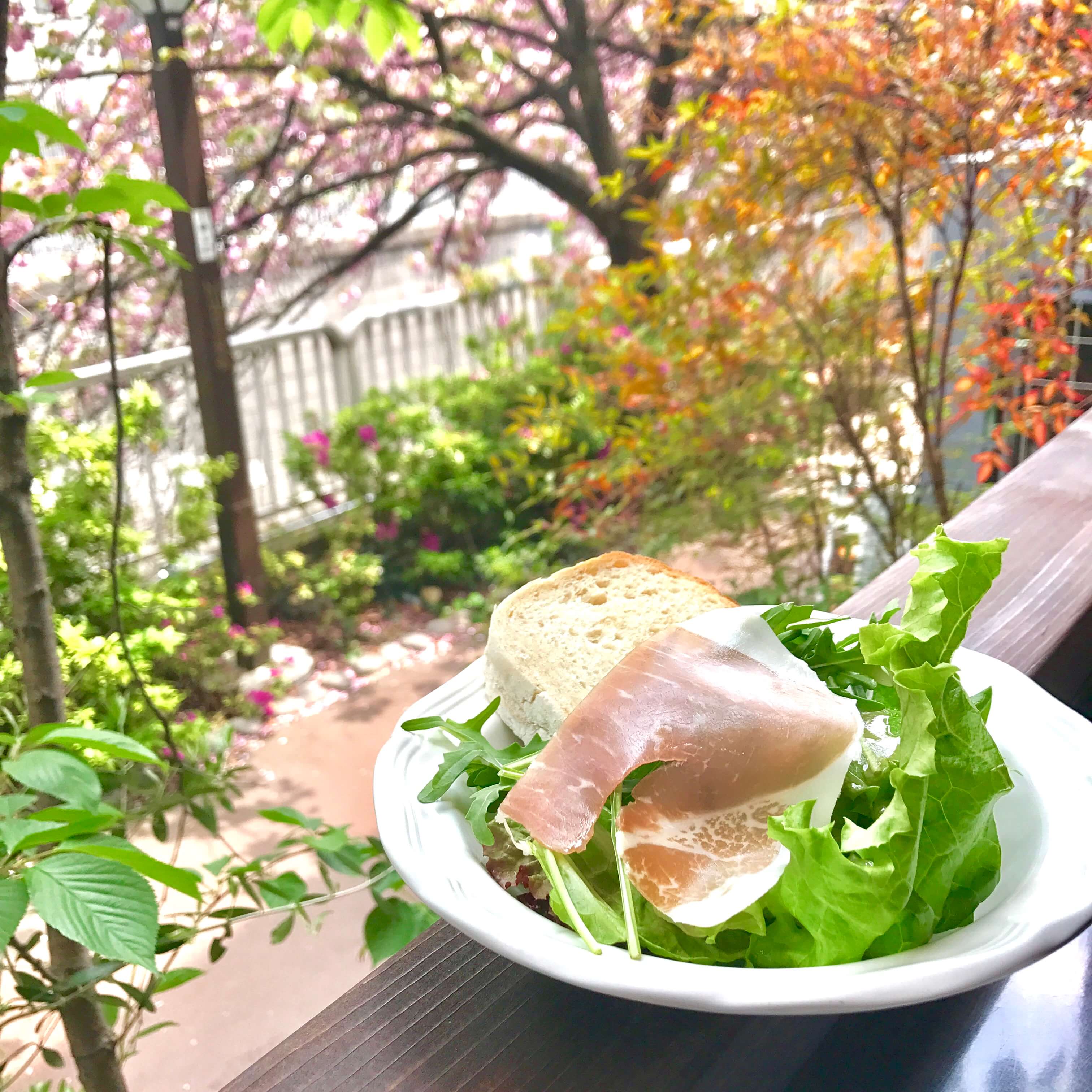 平成最後のお花見 中目黒の素敵カフェで八重桜三昧 Lee