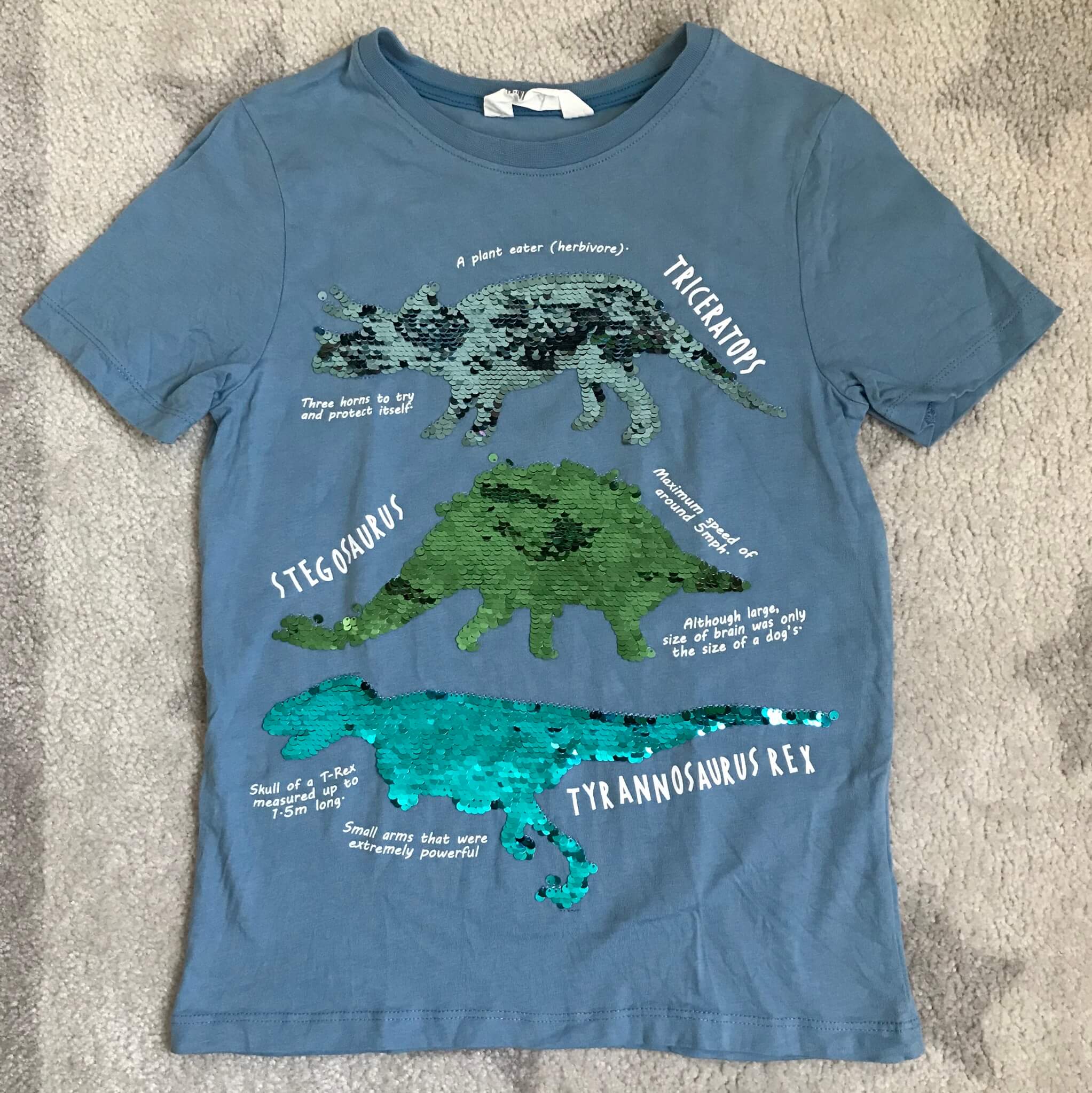 恐竜好き息子のお気に入りTシャツ | LEE