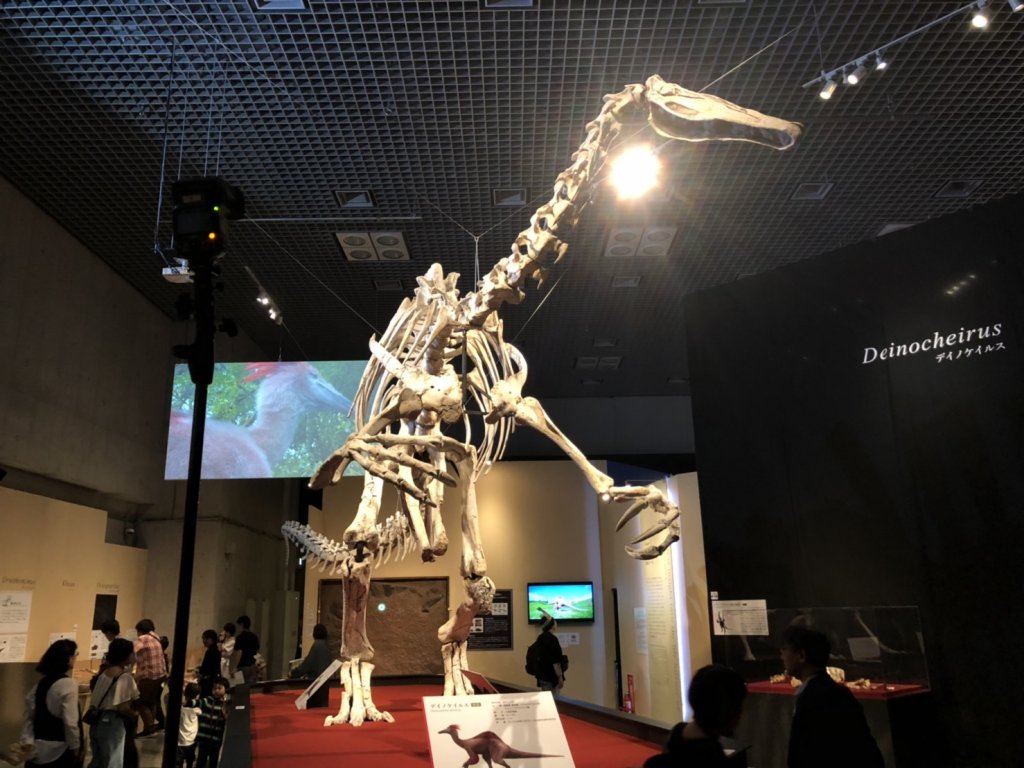 迫力満点！『恐竜博2019』は、親子が同じ目線で楽しめる！ | LEE