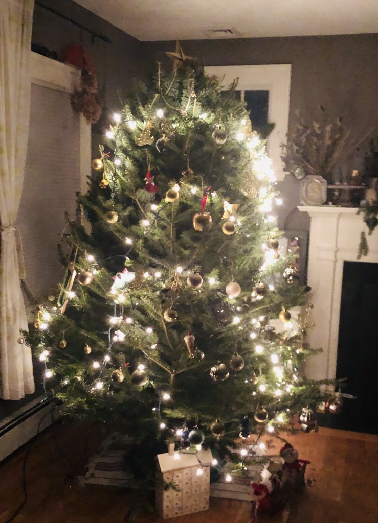 クリスマス準備 クリスマスツリー編 | LEE