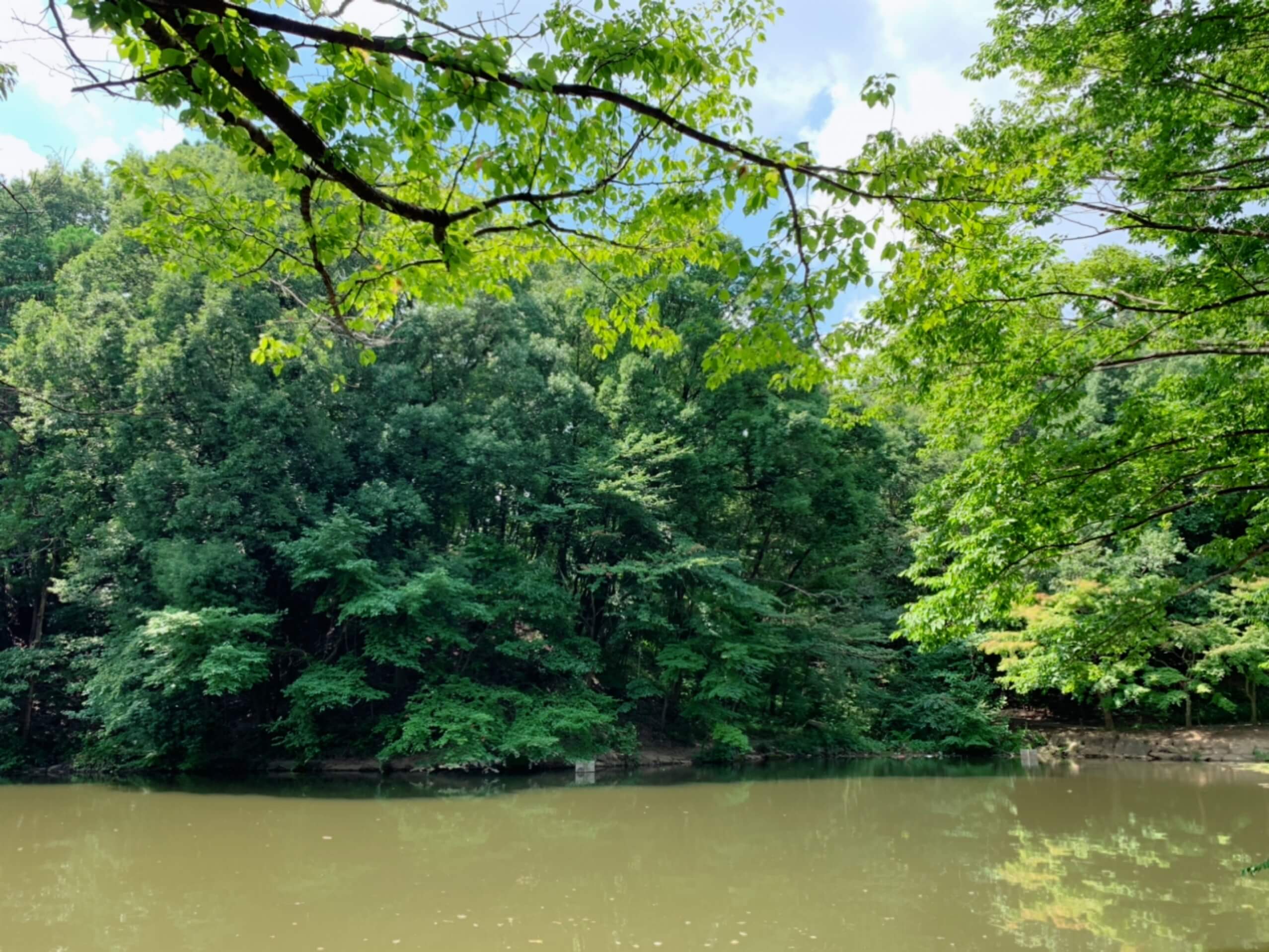 夏休み最終日 近場でザリガニ釣り Lee