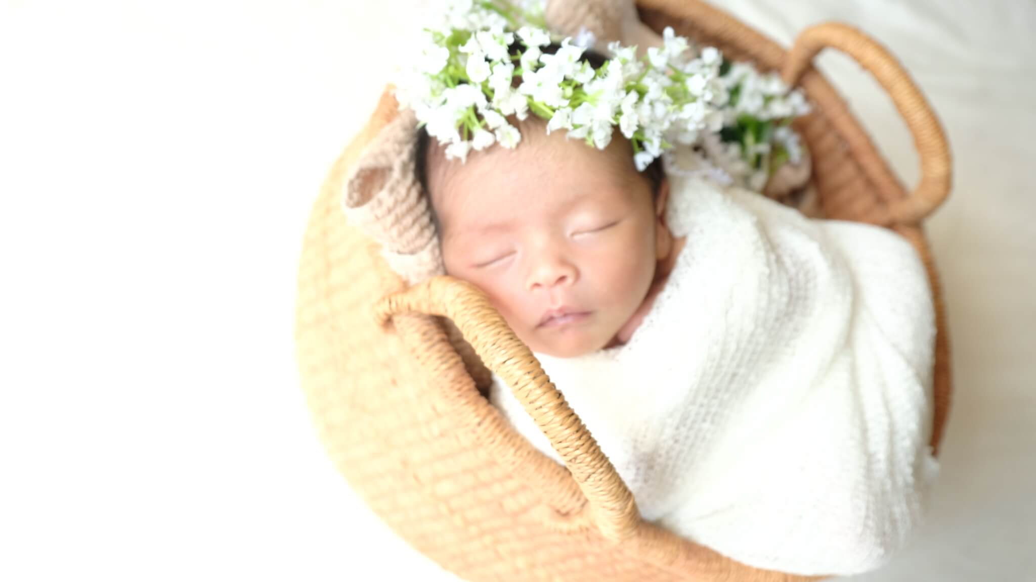 ニューボーンフォト 撮影用背景 写真スタジオ ベビー 新生児写真 装飾 デコレーション ツリー フラワー ツリー 赤ちゃん ビニール ポリエ
