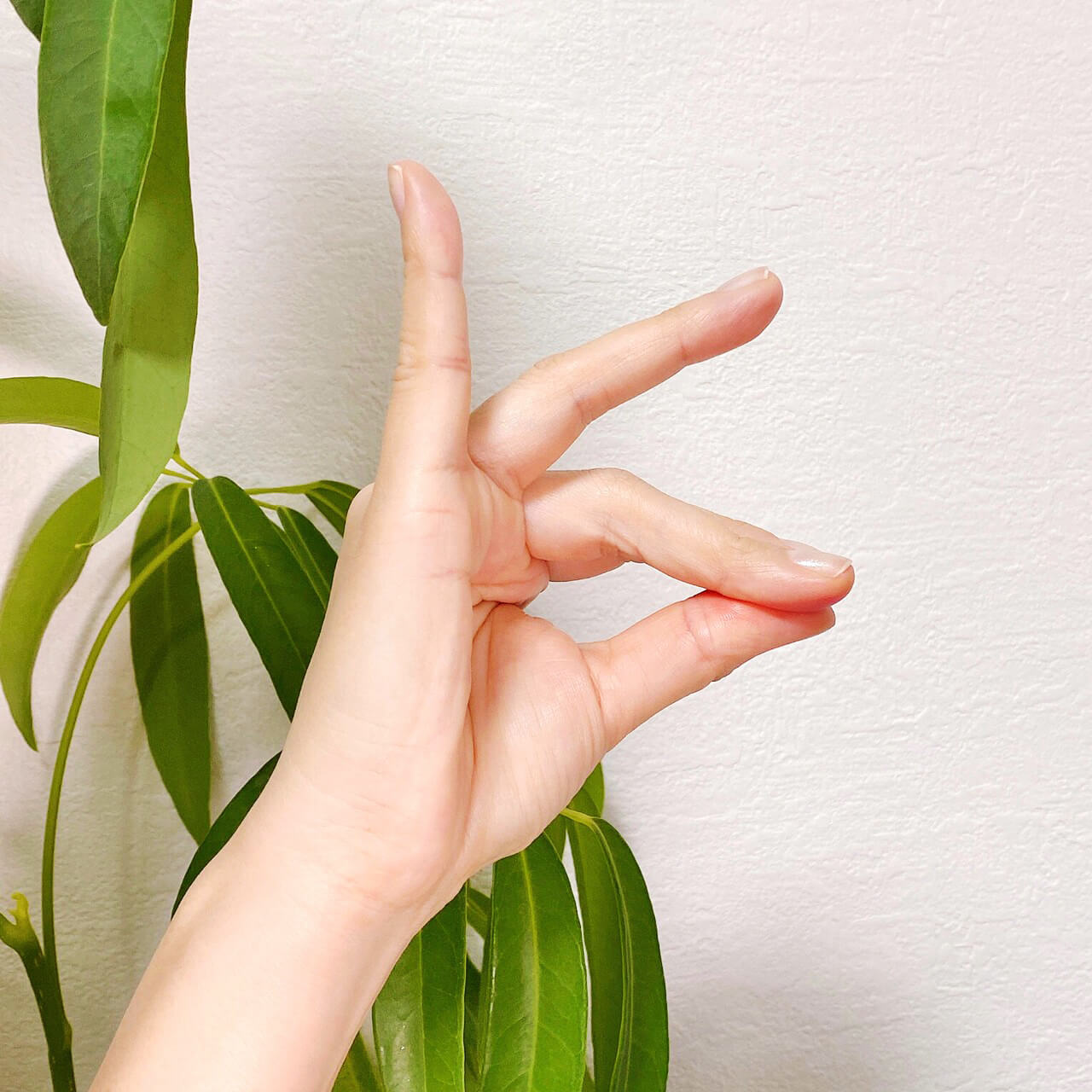 クリームチークを指でつけるなら、指をキツネの形にして親指をスリスリ。チークの色を指の広範囲に広げます。