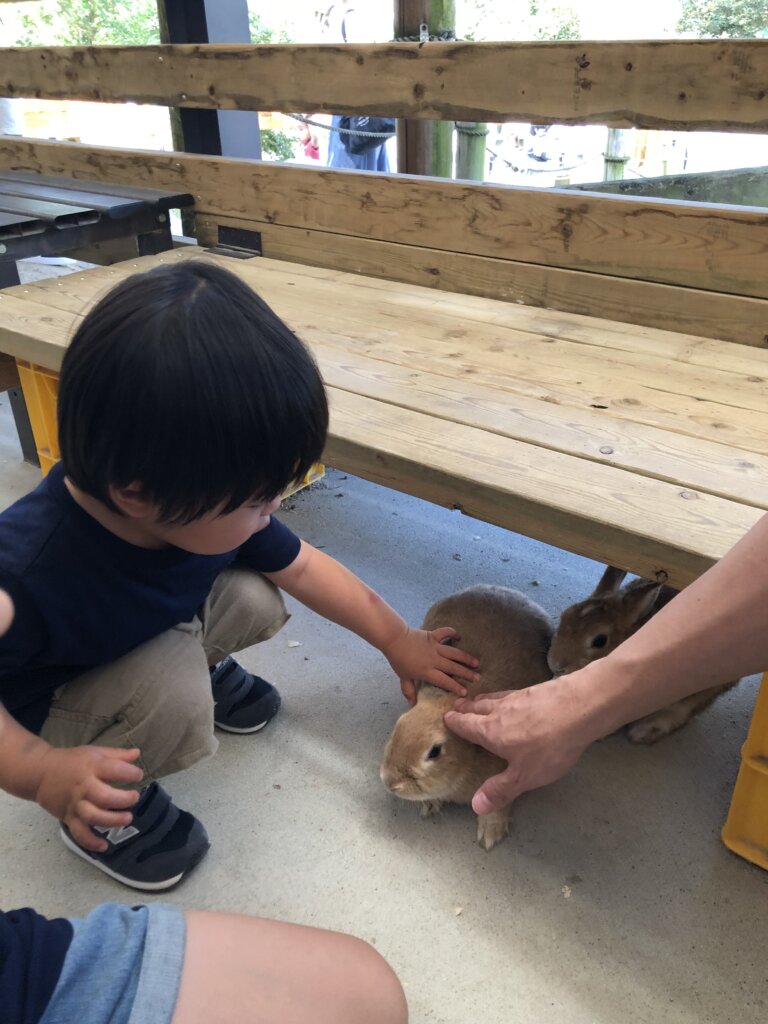 お出かけ 愛知牧場 Lee