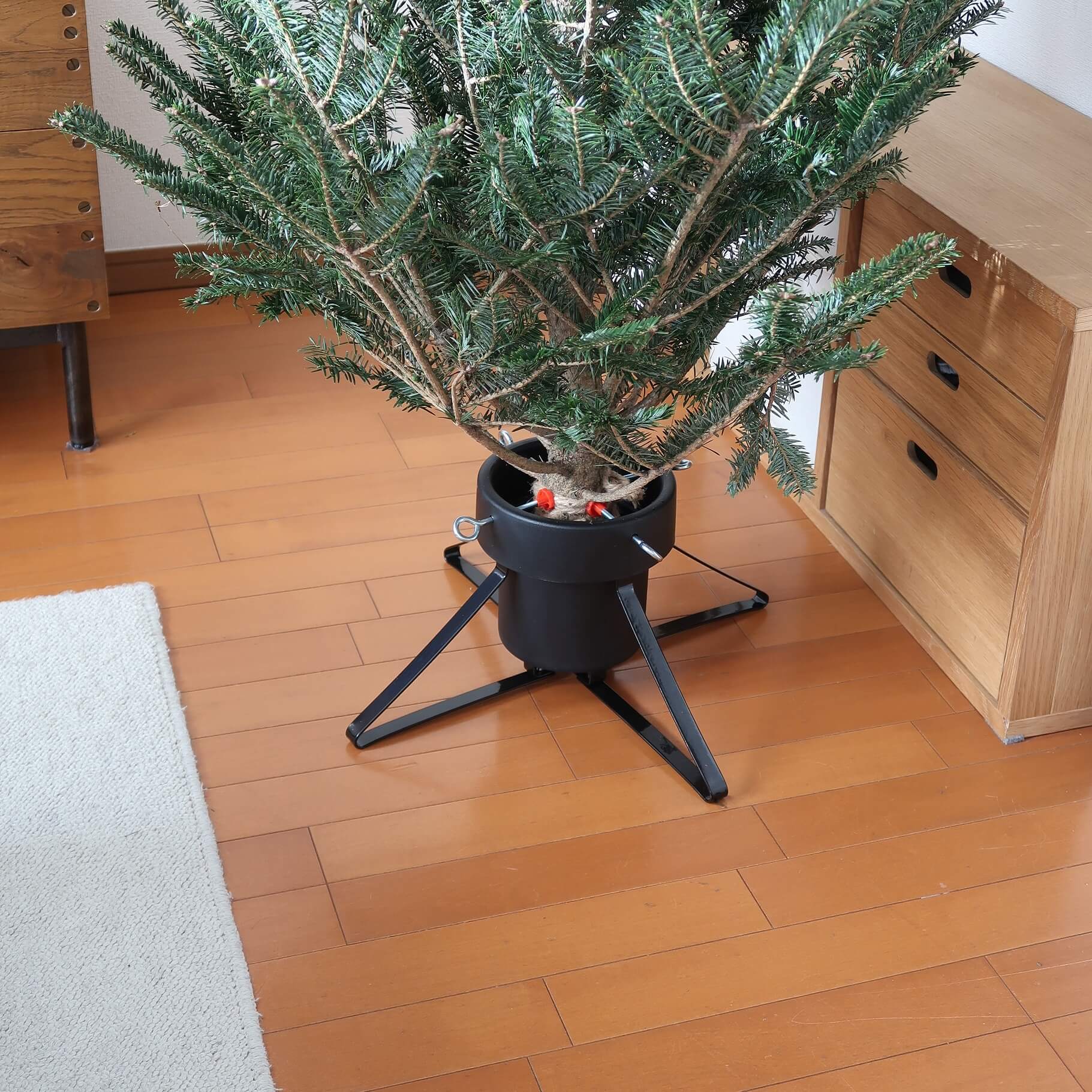 今年もやってきた！IKEAのもみの木でクリスマス☆ | LEE