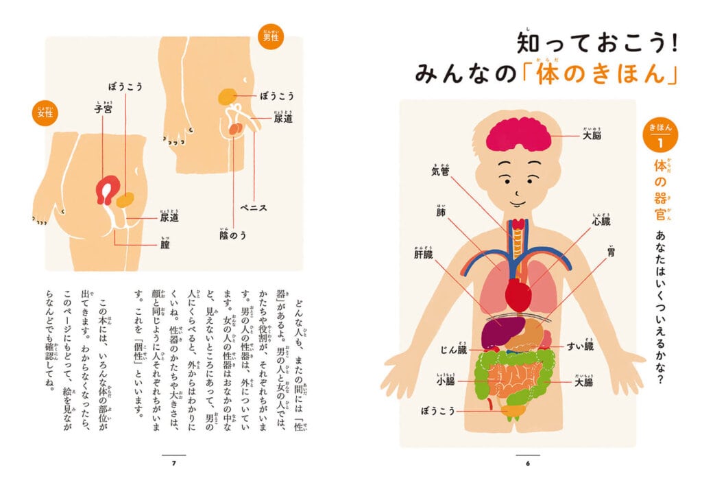 体の基本、性器について