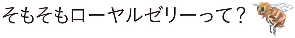 そもそもローヤルゼリーって?