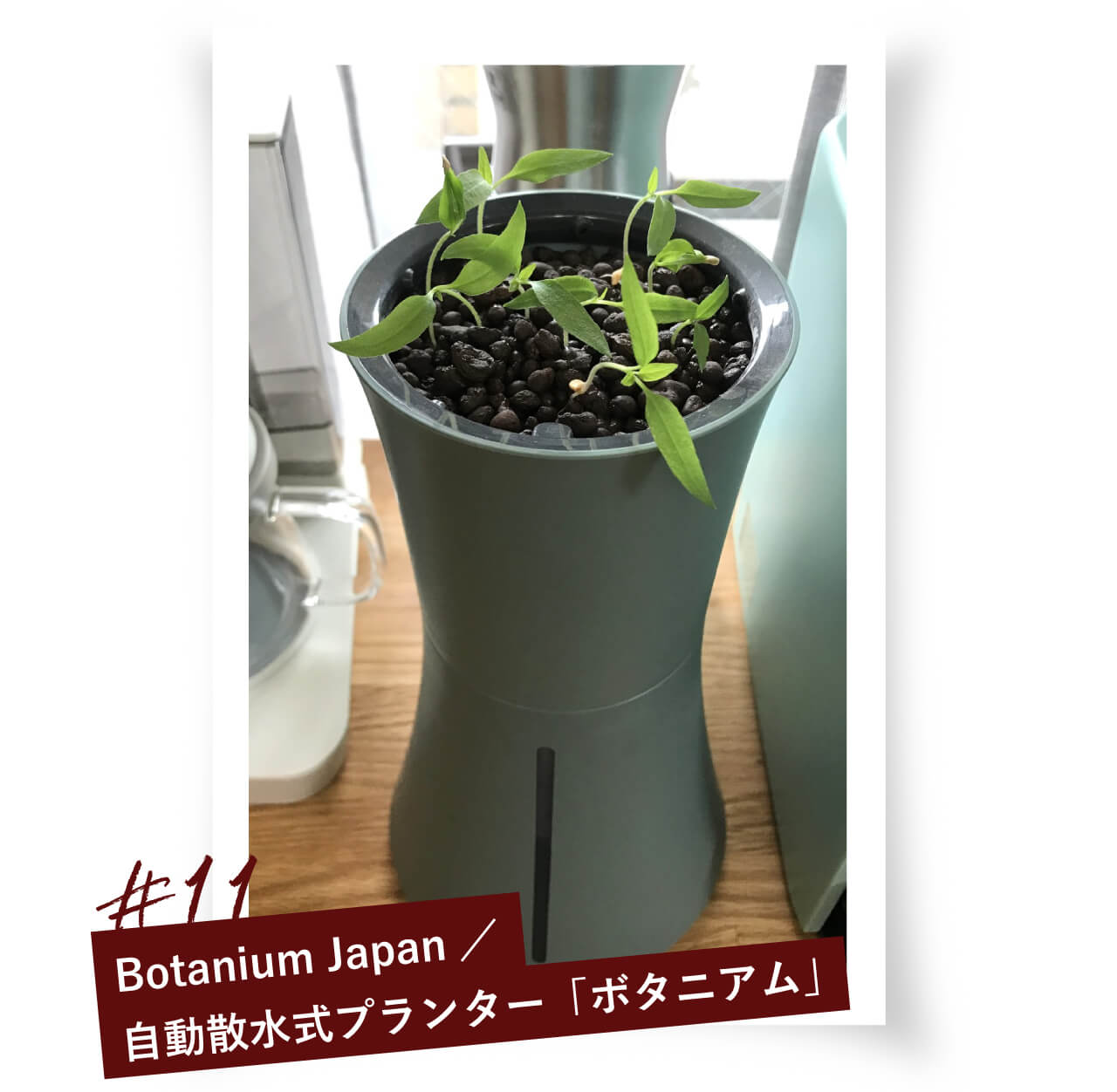 #11 Botanium Japan/水耕栽培キット・家庭菜園プランターのBotanium（ボタニアム）