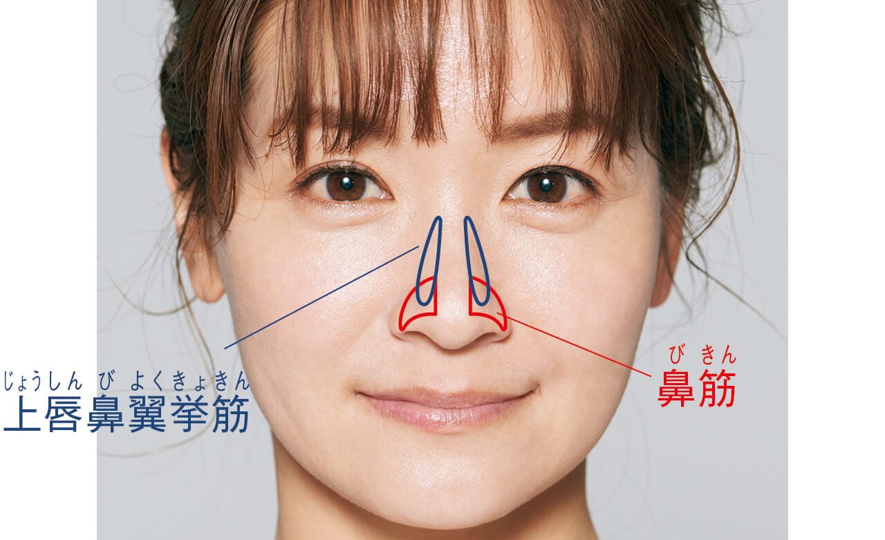90秒で美人鼻を育てる 指鍼 ユビバリー 術 を 光本朱美先生が伝授 Lee