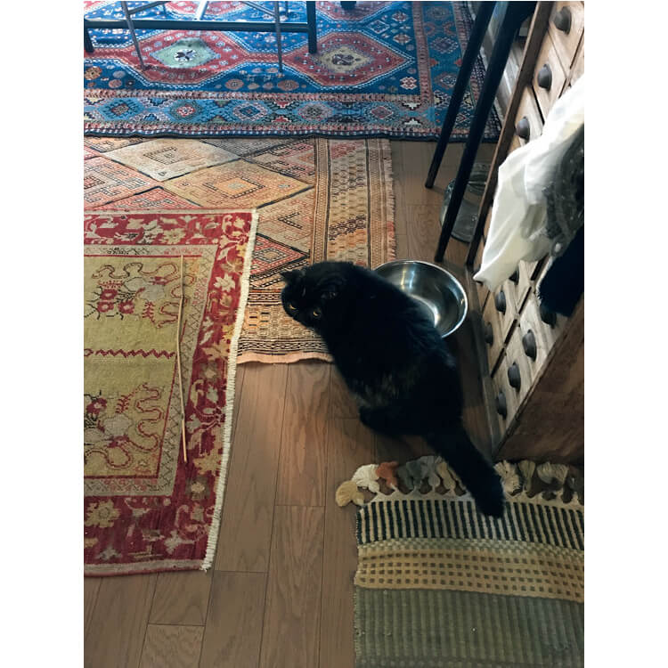「賃貸マンションのため、愛猫の足音などが気になるし、床のテイストもあまり好みでなく……隠す意味でもラグを敷き詰めていますね」（アクセサリー作家 山本亜由美さん）