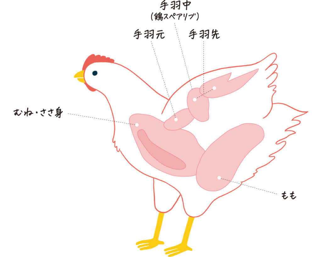 【鶏肉の部位の名前とおいしい食べ方】人気料理家2人が伝授! | LEE