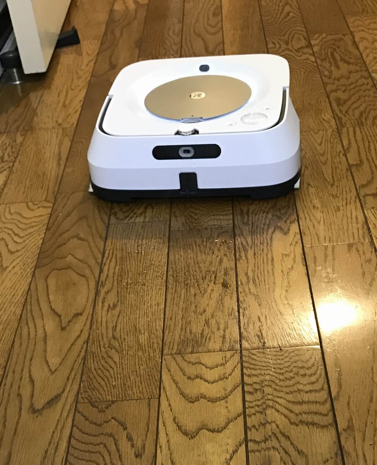 シューッと水を出す音などがしますが、ルンバのような吸引タイプのロボット掃除機とは異なり、とても静か