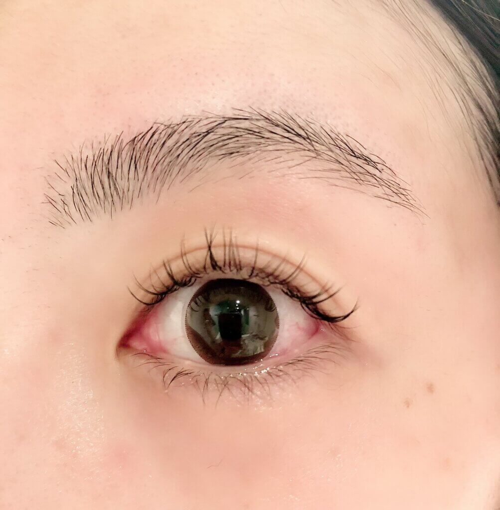 時短メイクに 眉ワックス デザイン 理想の眉毛に Lee