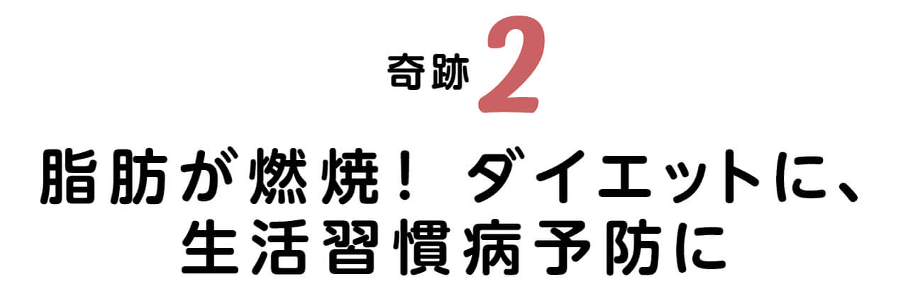 奇跡2　脂肪が燃焼！　ダイエットに、生活習慣病予防に