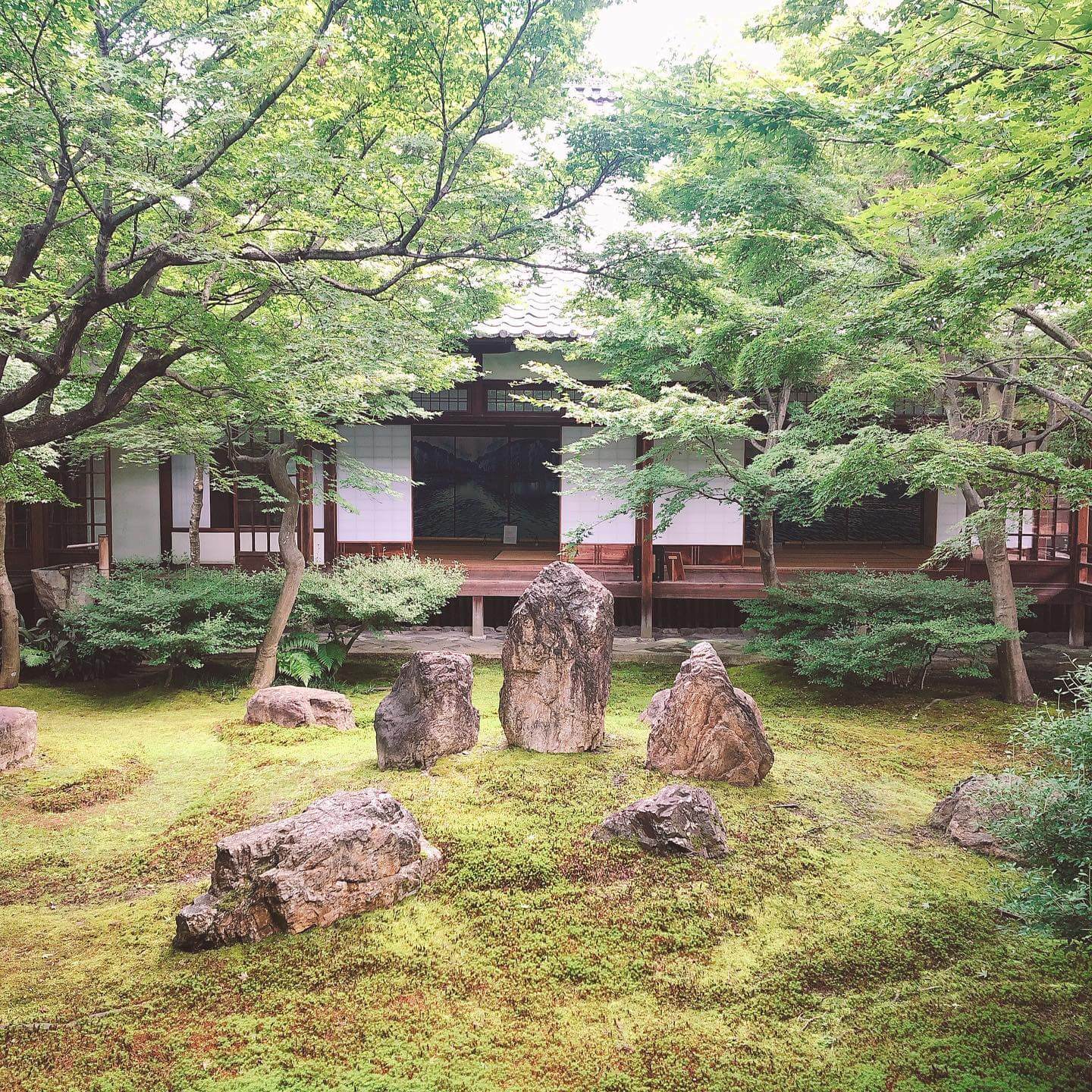 写真：京都のお寺の苔むした庭の様子