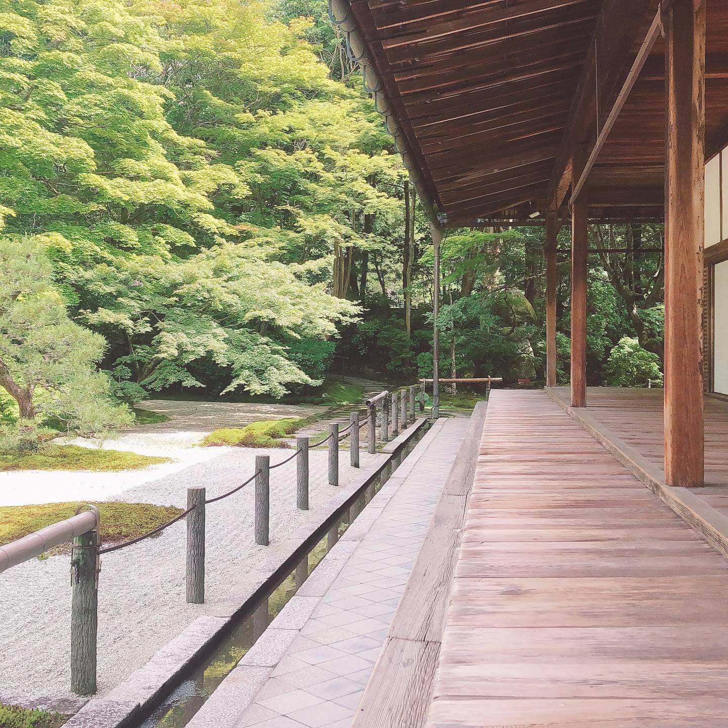 写真：京都のお寺の外廊下と庭