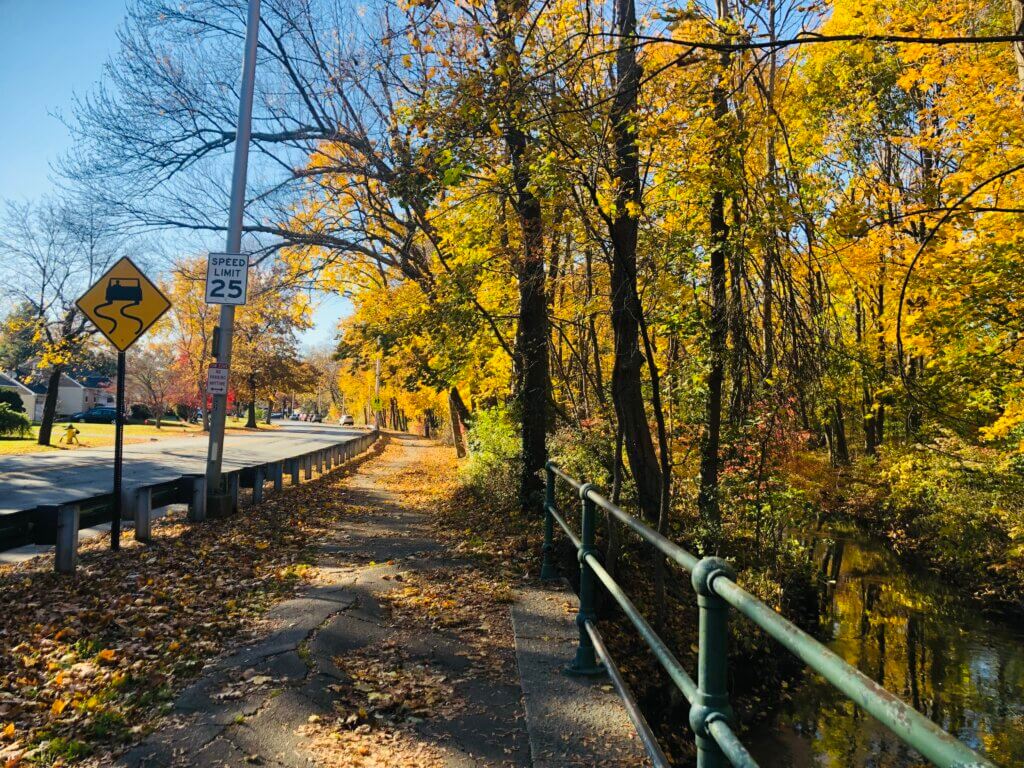 紅葉の道路と小川