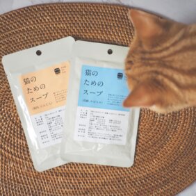 写真：Soup Stock Tokyoの「猫のためのスープ」をのぞきこむ、つむじちゃん