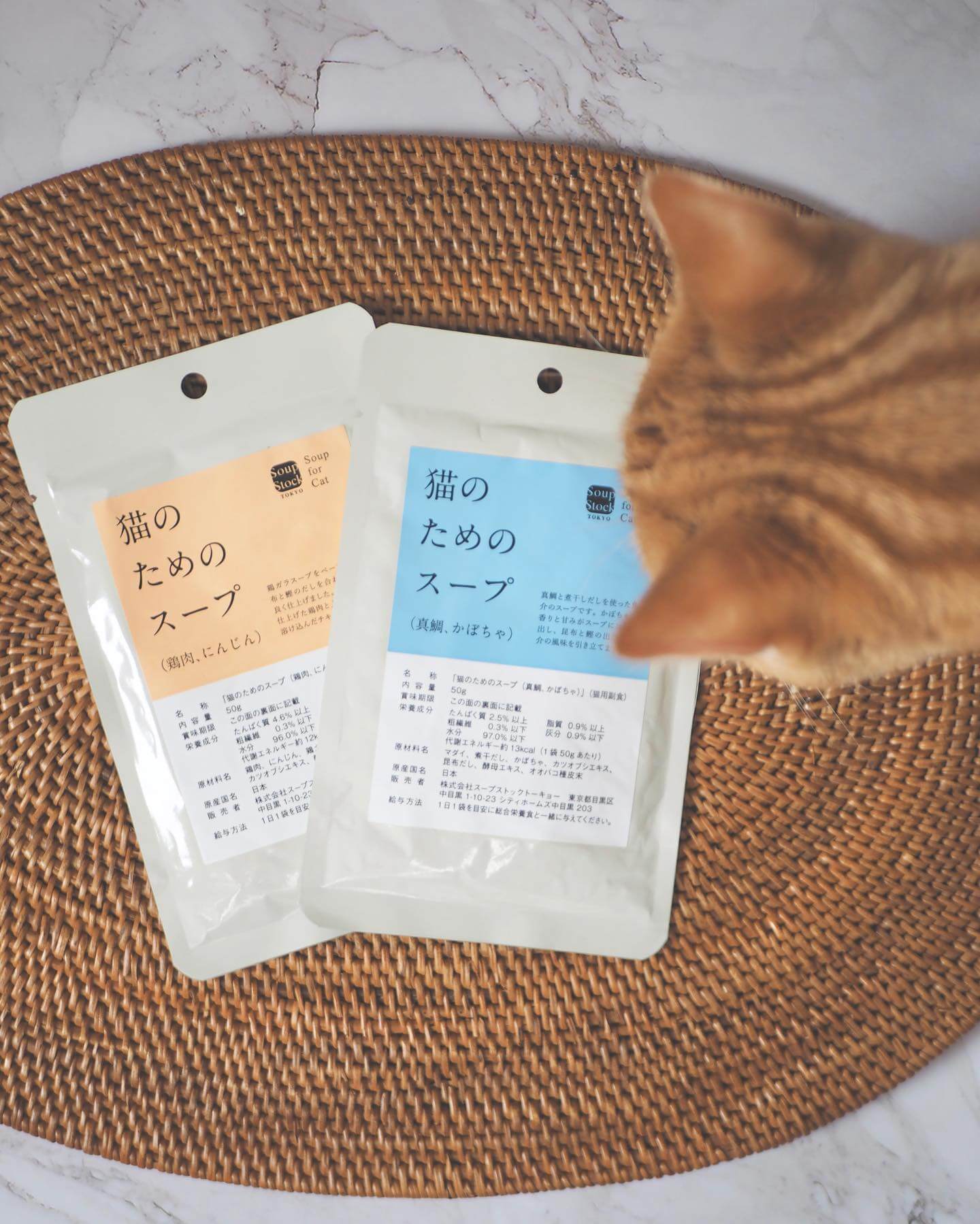 写真：Soup Stock Tokyoの「猫のためのスープ」をのぞきこむ、つむじちゃん