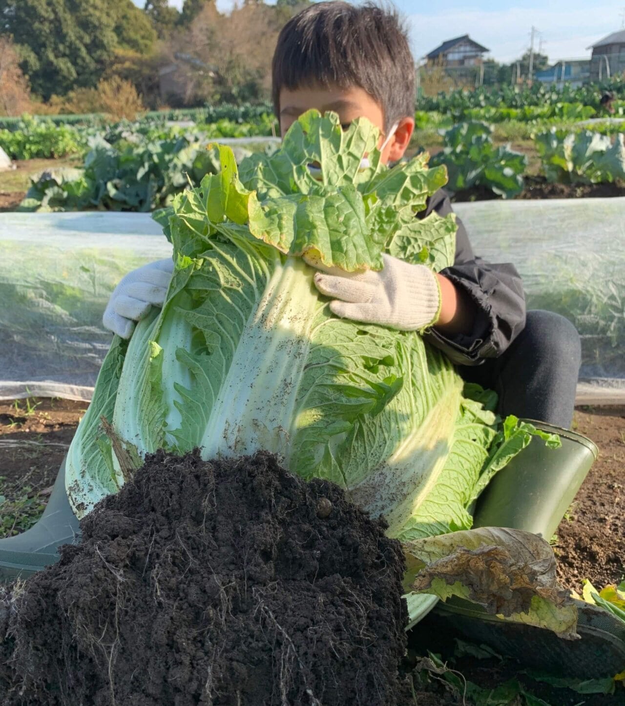 子どもと体験 収穫体験で 野菜のできるまで を学びました Lee