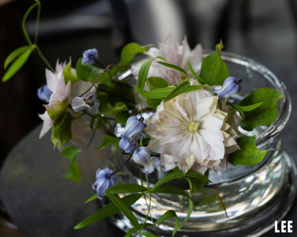 花の壁紙 Lee 花の壁紙 Lee