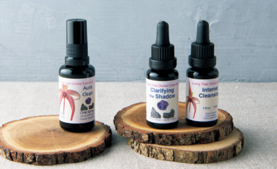 アストロロジー・ライター Sayaさんが選ぶ、こころとからだを整える愛用品【LEE DAYS】