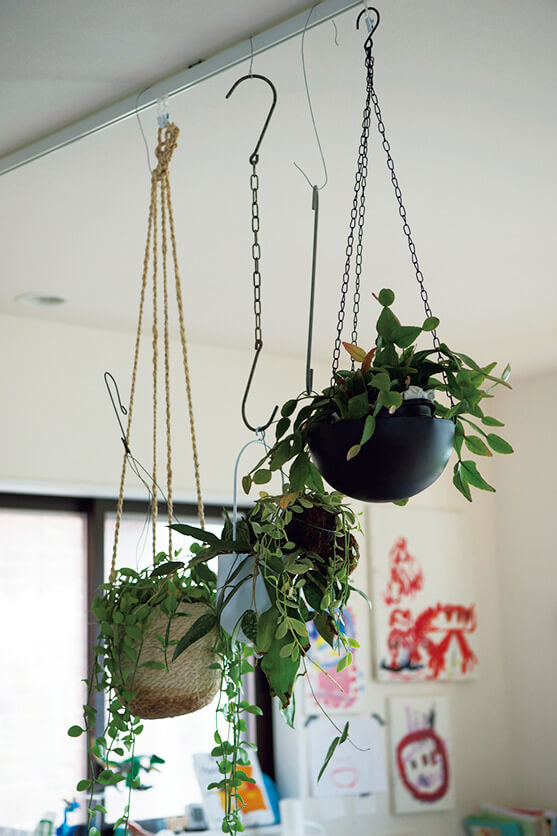 ツル状の植物にはじゃれついてしまうから、吊るして飾ることに。