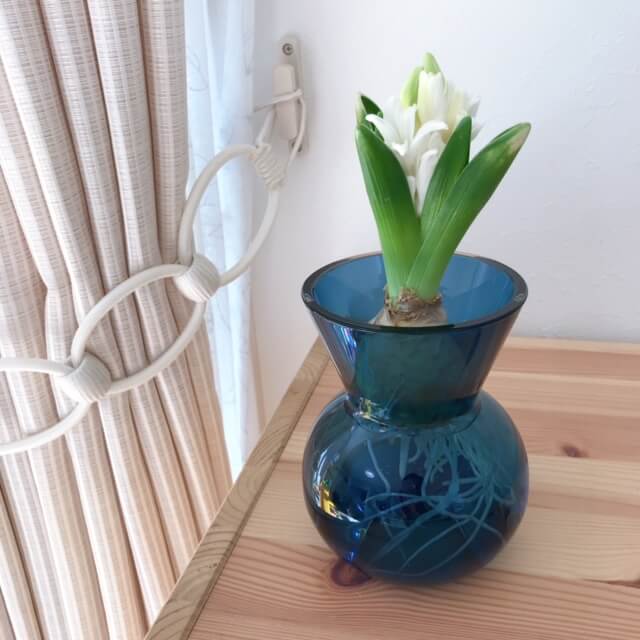 イケア　IKEA　フラワーベース　花瓶　ヒヤシンス　水耕栽培　使える　キャンドルホルダー