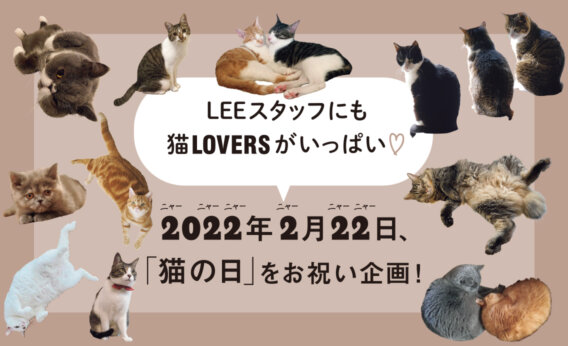 「猫の日」をお祝い！LEEスタッフの“我が家の愛猫”大集合！