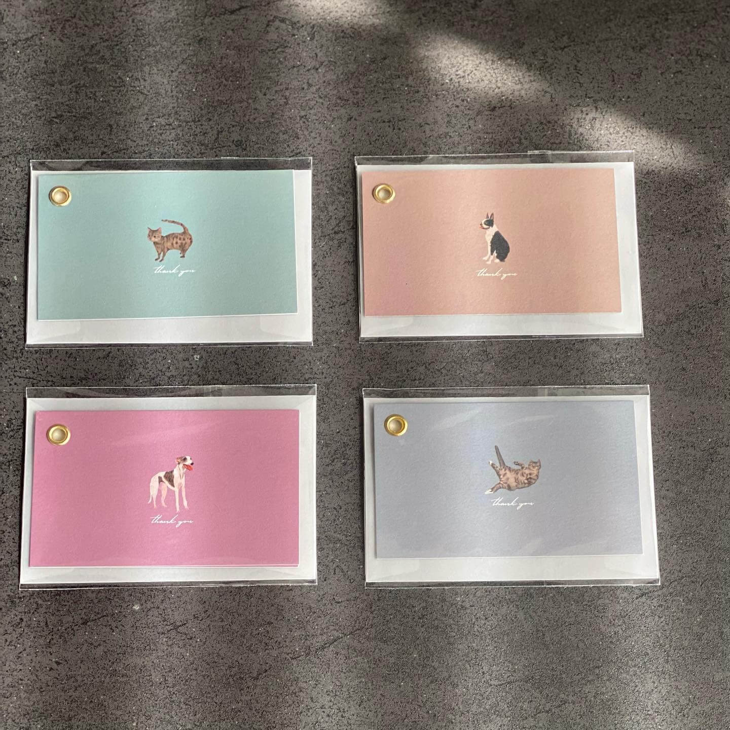写真：Catrama（キャットラマ）のメッセージカード4種。緑、茶、ピンク、グレー。