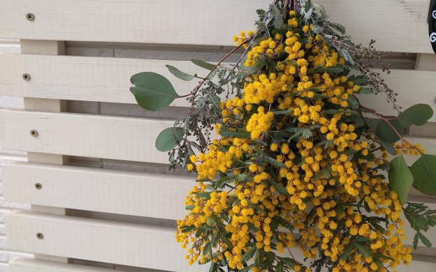 ミモザのスワッグ