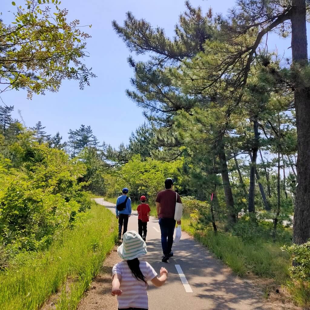 鳥取砂丘　臨時駐車場からの道