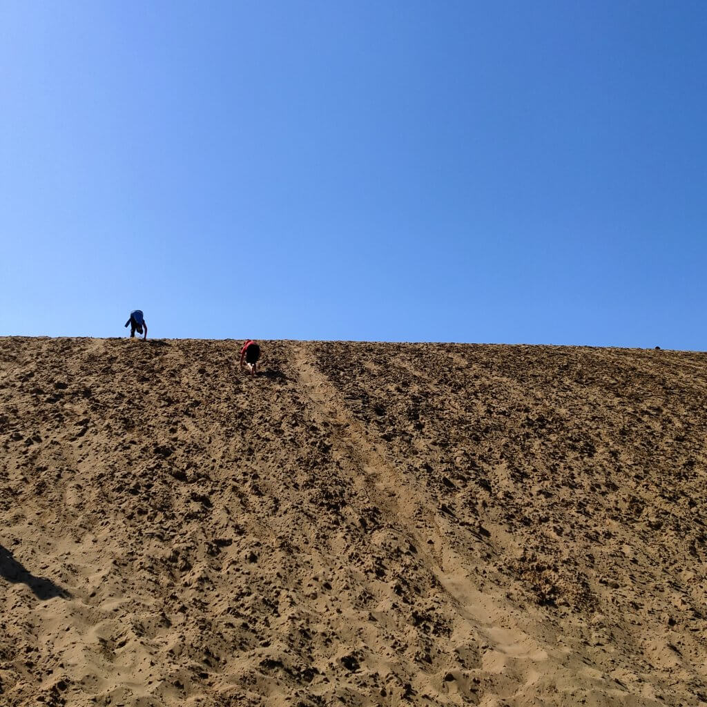 鳥取砂丘　馬の背