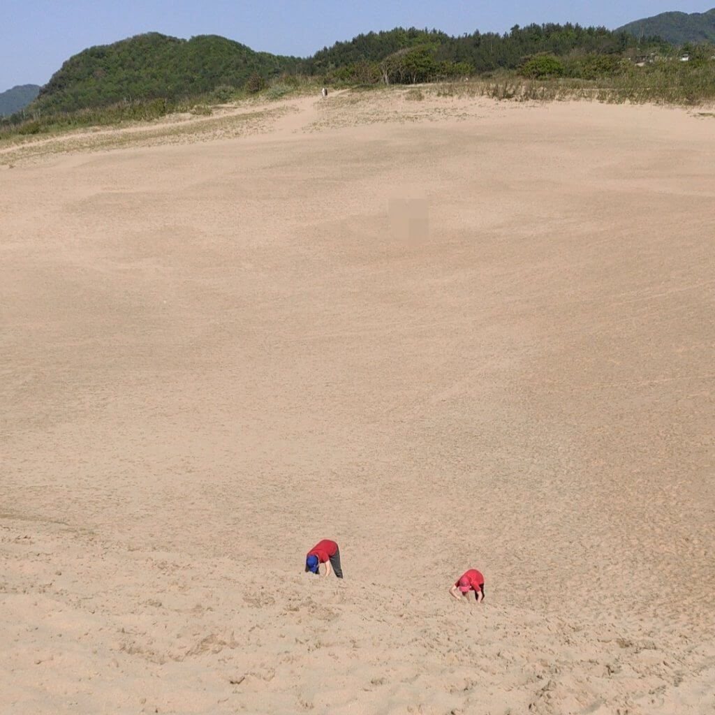 鳥取砂丘　馬の背