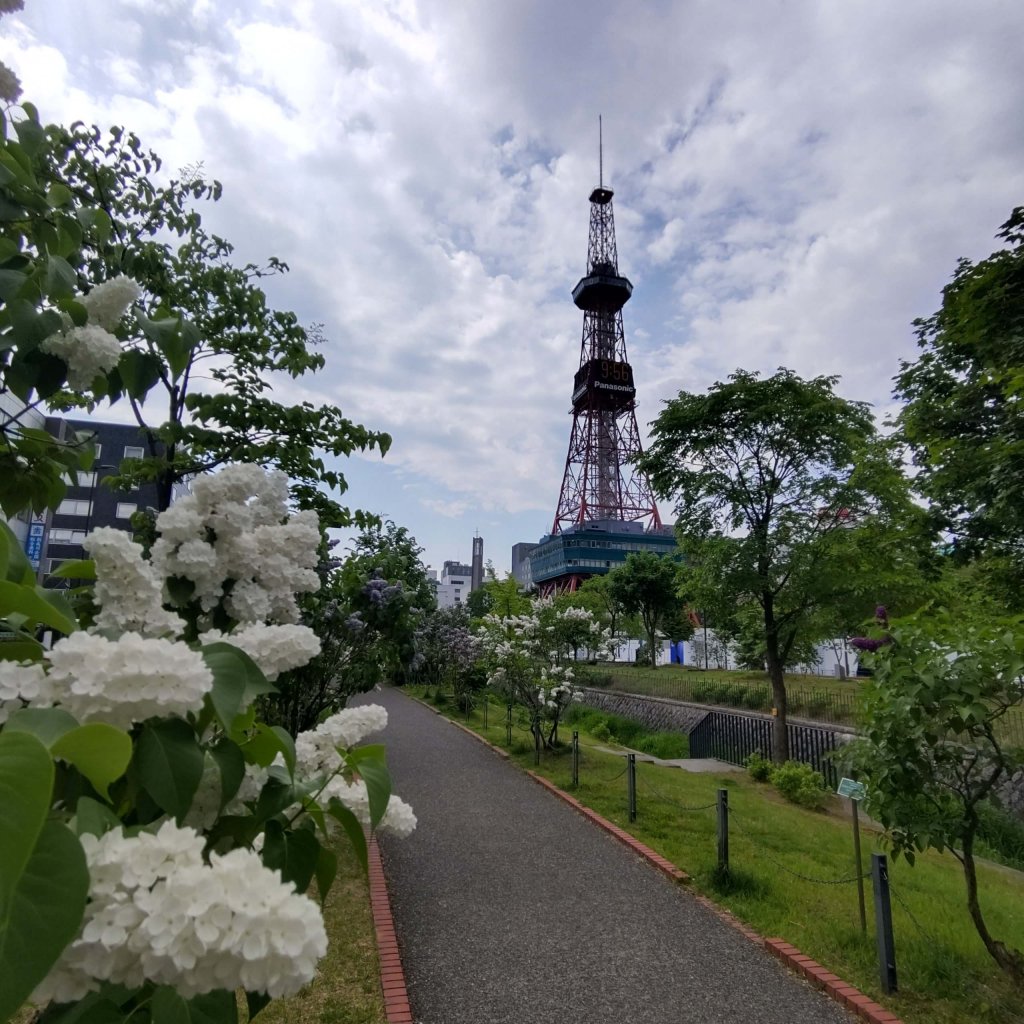 札幌 ライラック花香る街歩き Lee