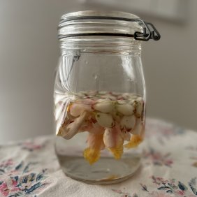 月桃の花で天然酵母作り