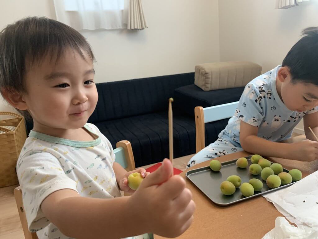 梅仕事　子供と作る　梅シロップ