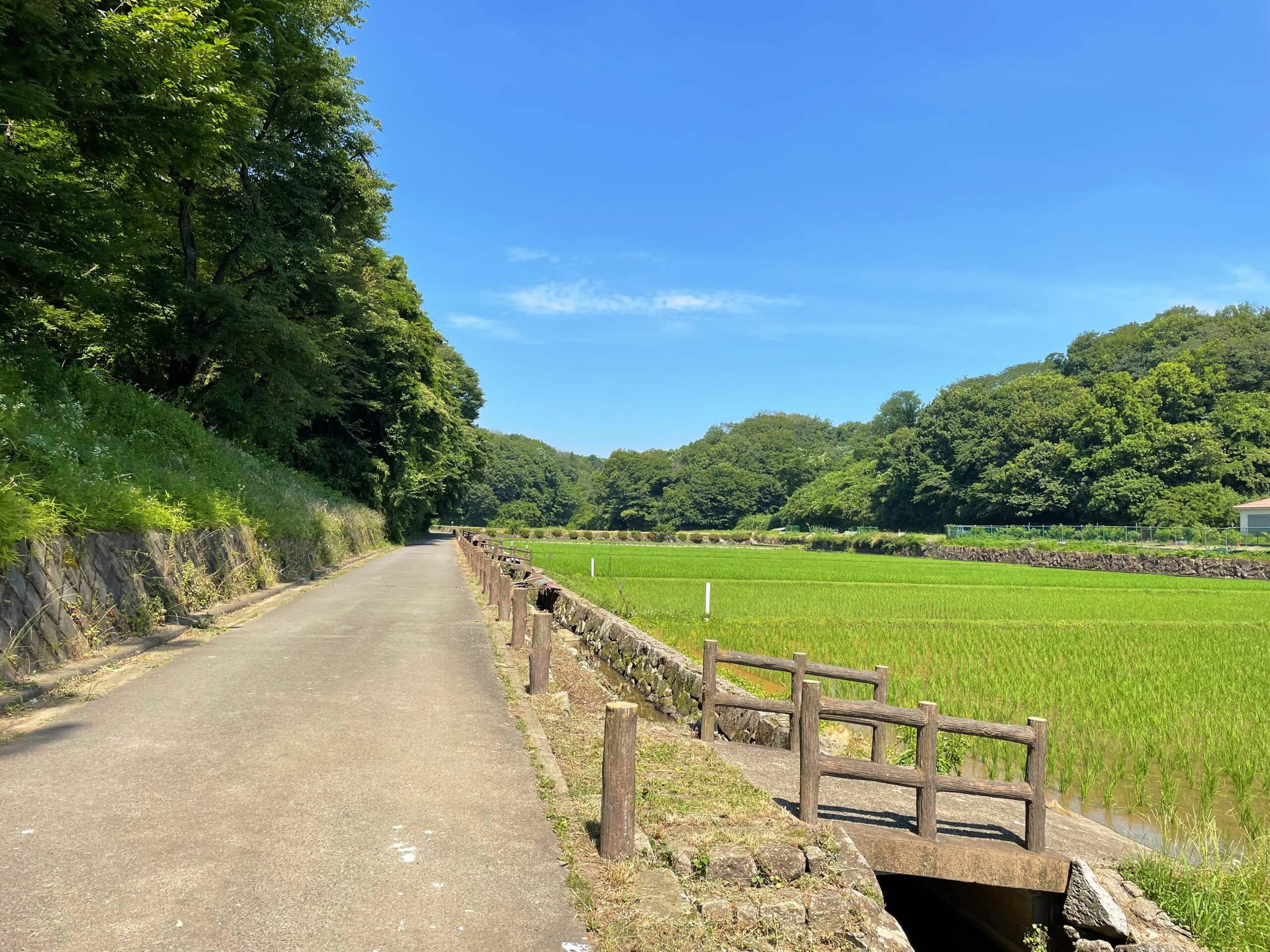 寺家ふるさと村　神奈川県横浜市青葉区　里山　写真　田園風景