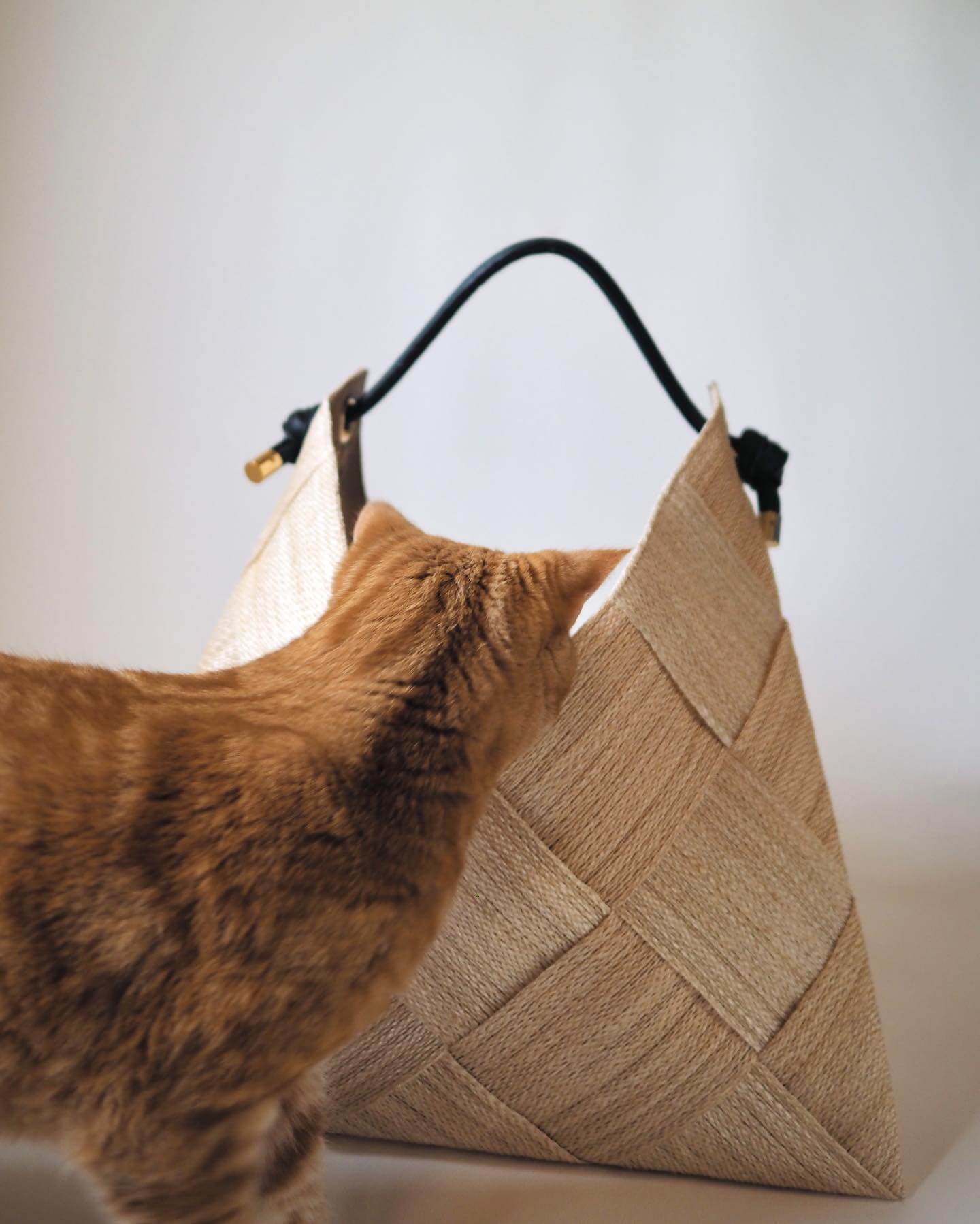 写真：「アバカ」素材のかごバッグをのぞき込む猫のつむじちゃん